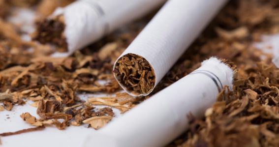 煙草制作 煙草制作