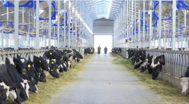 農業和養殖業.png 農業和養殖業.png