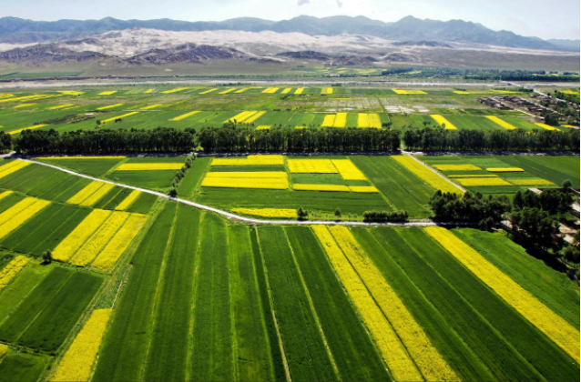 收割機在農業生產中的作用.png 收割機在農業生產中的作用.png