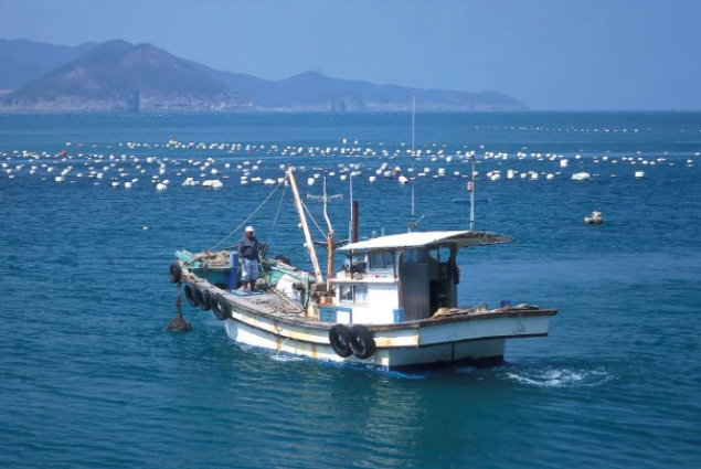 船舶檢測(cè)介紹.png 船舶檢測(cè)介紹.png