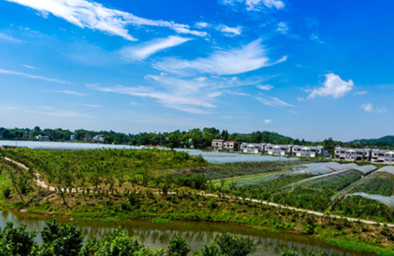 采礦與建筑.png 采礦與建筑.png