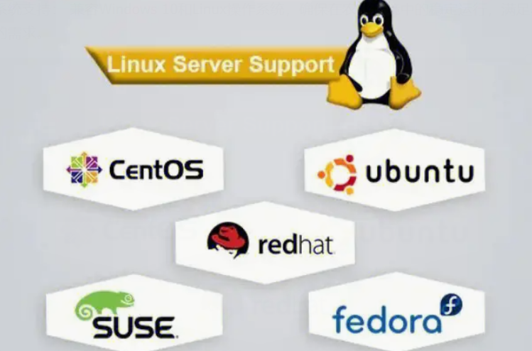 穩定可靠的系統支持.png 穩定可靠的系統支持.png