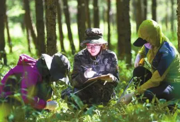 森林信息采集在三防平板.png 森林信息采集在三防平板.png