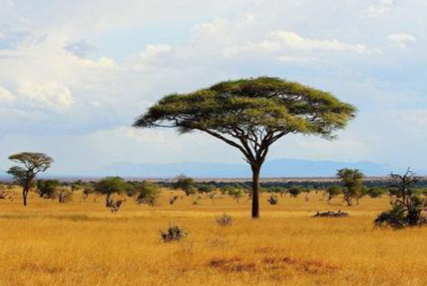 高濕高熱環境.png 高濕高熱環境.png