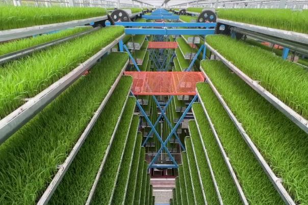 智慧農業.png 智慧農業.png