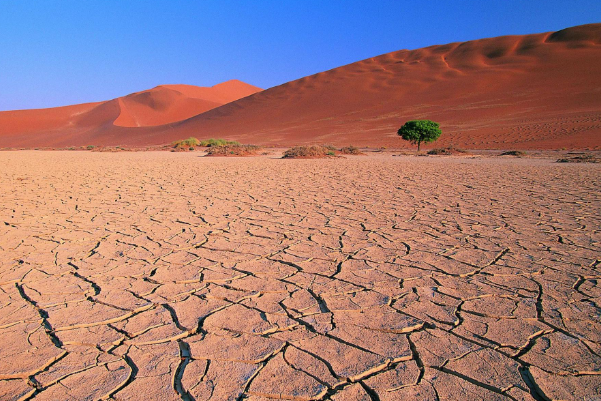 非洲干旱地區(qū).png 非洲干旱地區(qū).png