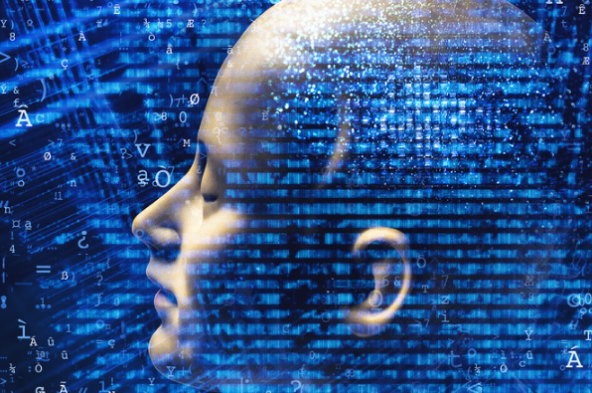 專為數據而生:東田高性價比深度學習電腦助力軟件公司高效采集與分析