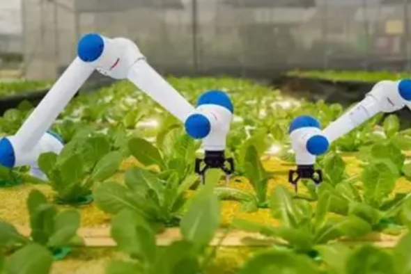 農業機器人.png 農業機器人.png