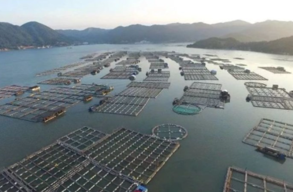 海洋漁業|漁場環境監測工業級計算機優選解決方案